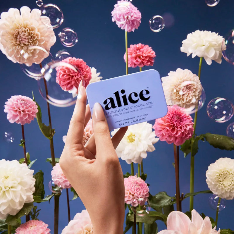 Alice Mushroom Chocolates Zen-X