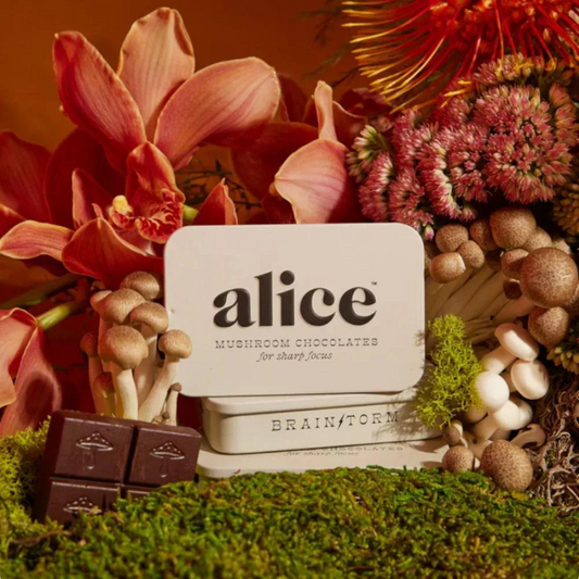 Alice Mushroom Chocolates Brain Storm