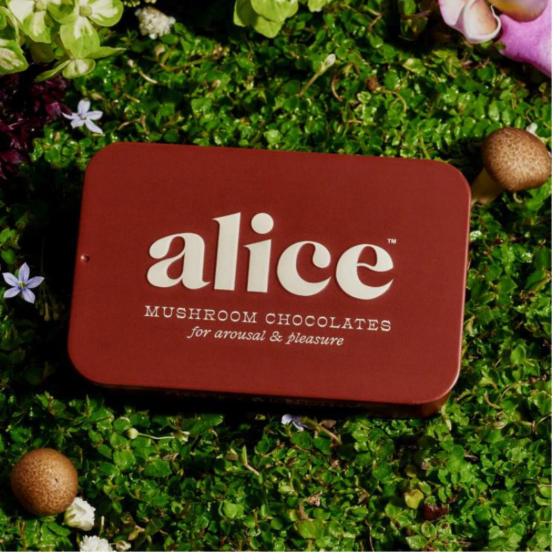 Alice Mushroom Chocolates Happy Ending