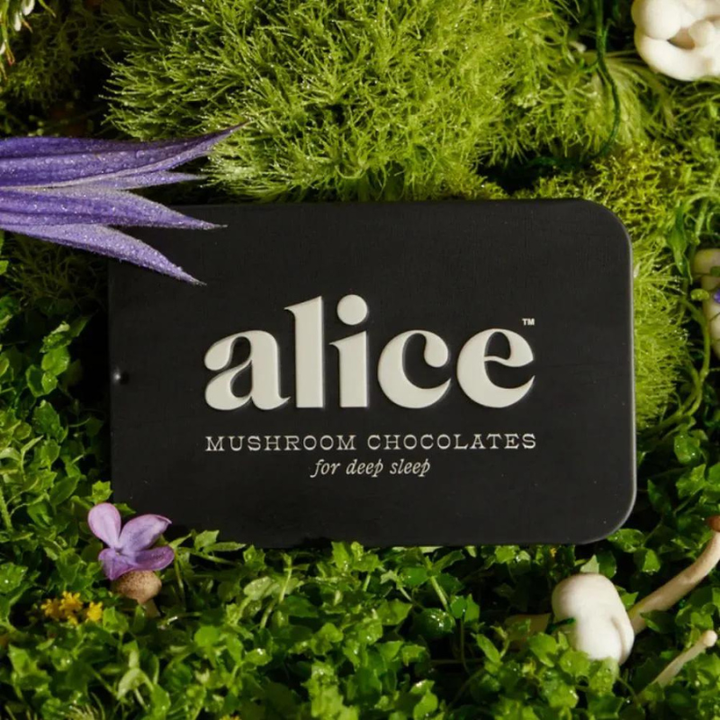 Alice Mushroom Chocolates Nightcap
